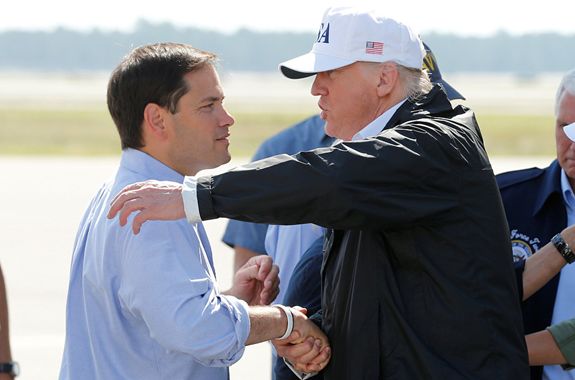 美国总统唐纳德·特朗普 在2017年9月14日抵达美国佛罗里达州迈尔斯堡的西南佛罗里达国际机场，该州参议员马尔科·鲁比奥问候特朗普并汇报飓风艾尔玛（Irma）救灾工作情况。图片来源视觉中国