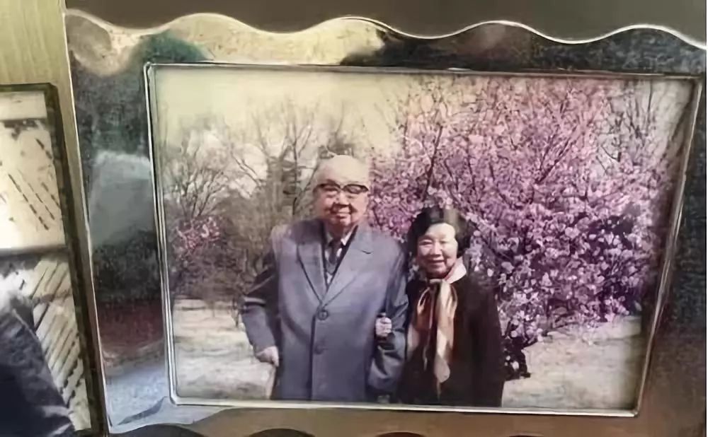 我能想到最浪漫的事：97岁院士为妻写65年情诗