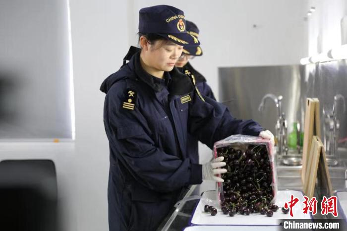 智利车厘子包机抵杭州 从采摘到上桌仅72小时