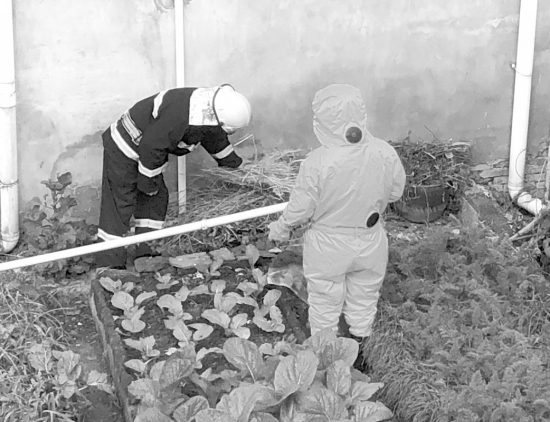 斩草除根 清除剩余黄蜂，消灭隐患