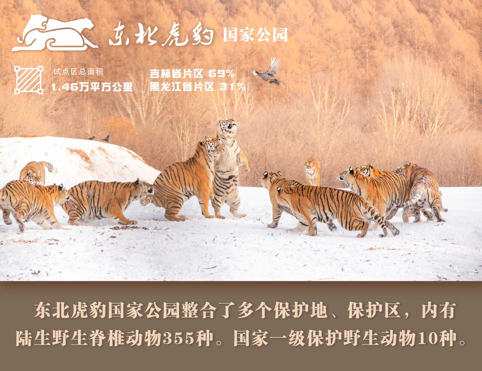 明年将建成的国家公园 究竟是什么“园”?