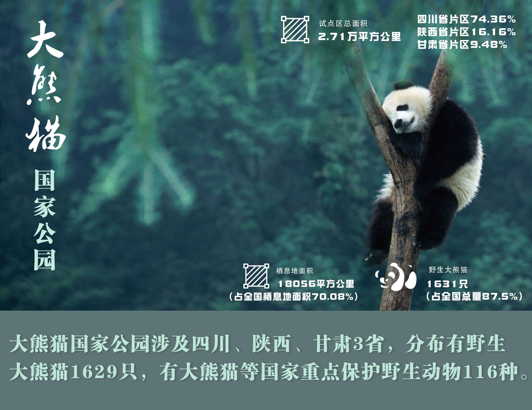 明年将建成的国家公园 究竟是什么“园”?