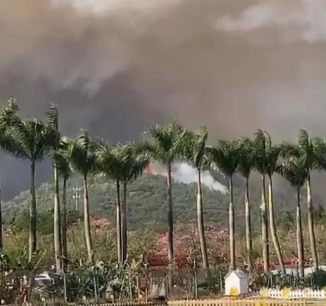 佛山火灾风助火势千人扑救 增援预计7日凌晨到达