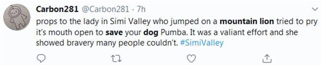 宠物狗被美洲狮攻击 女主人上前对峙要撬开狮口