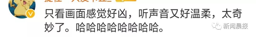 吴京在机场当众发飙 网友却一致叫好