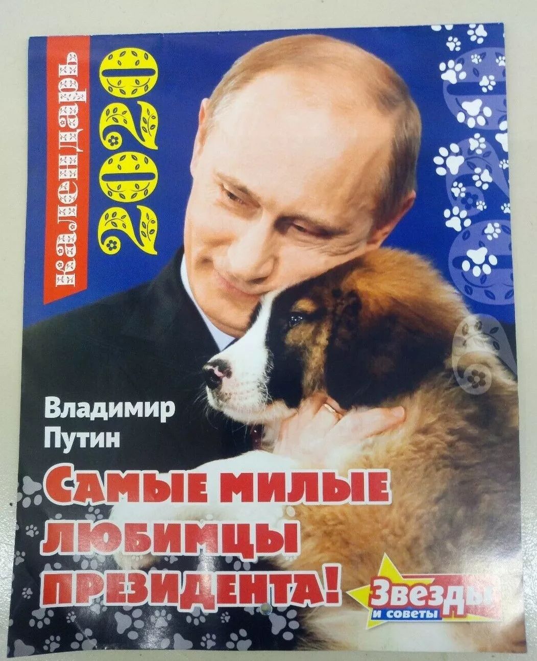 ▲抱着爱犬,满脸宠溺
