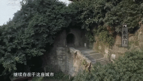 都9.3了,这宝藏片你怎么还没看 都9.3了,这宝藏片你怎么还没看