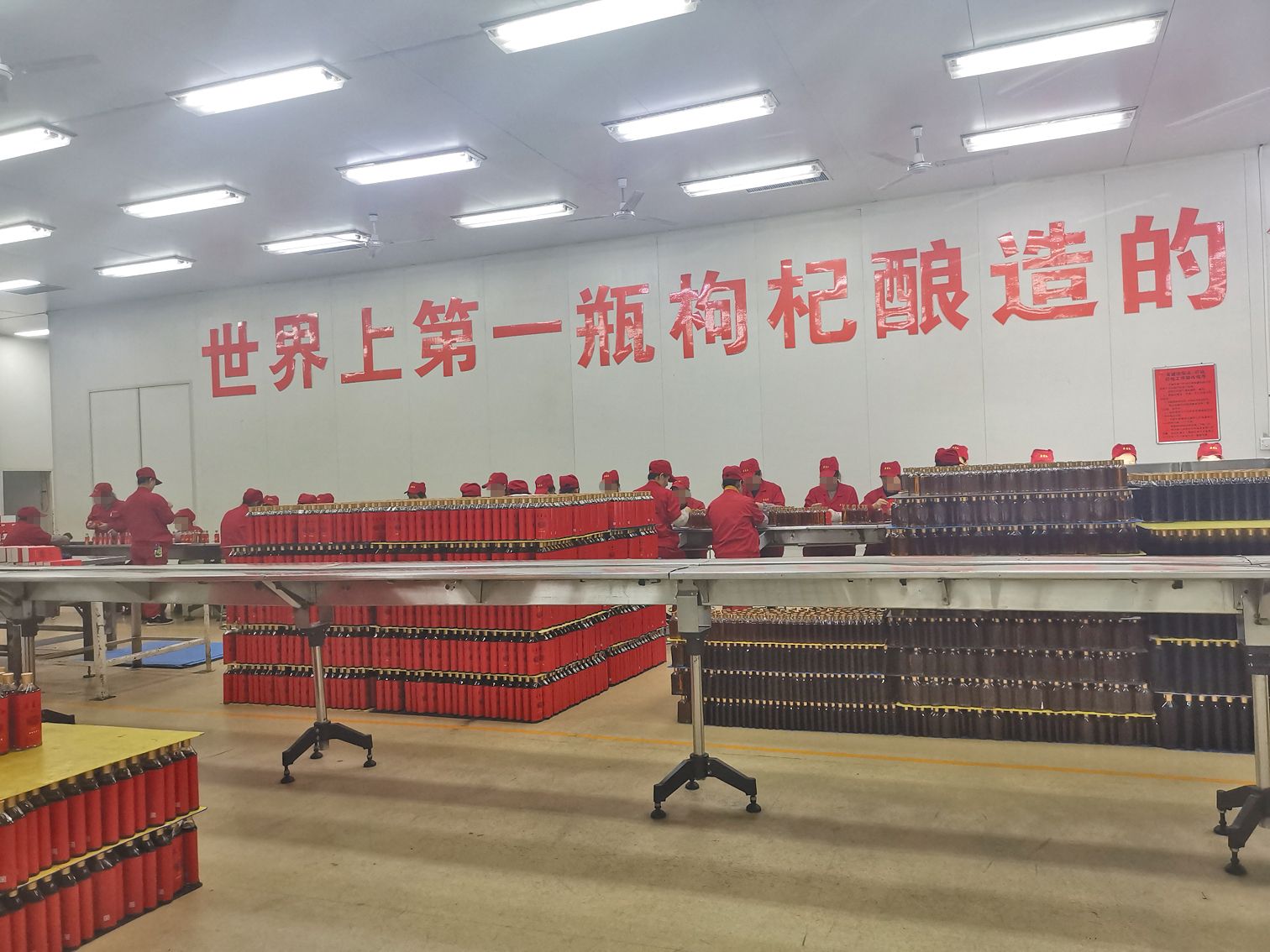 宁夏红易主疑云背后：上市梦想与债务风波（最新发布）