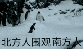 南方人第一次看雪被困9小时:感受到了死亡的气