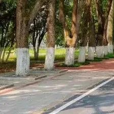 拼拼拼!拼出你爱的华师~