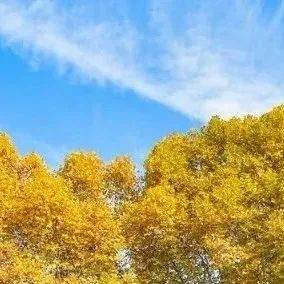 拼拼拼!拼出你爱的华师~