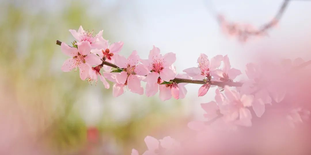 传传家的摄影师|小小胶片,涂抹世间万般颜色(。・ω・。)ノ