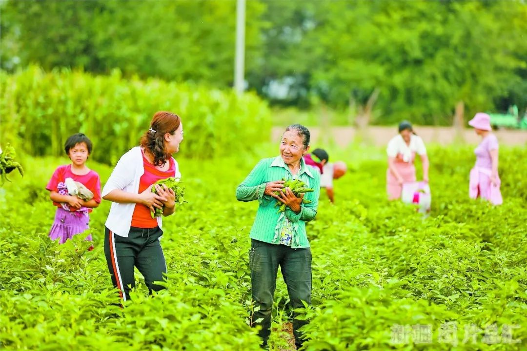 新疆挂牌督战县和村涉及脱贫底线任务的扶贫项目全部建成