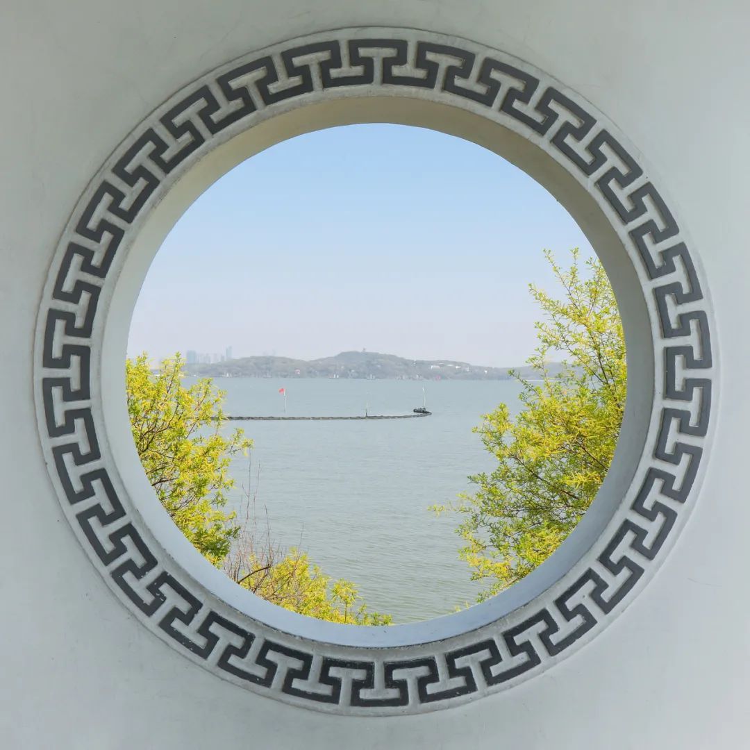 传传家的摄影师|小小胶片,涂抹世间万般颜色(。・ω・。)ノ