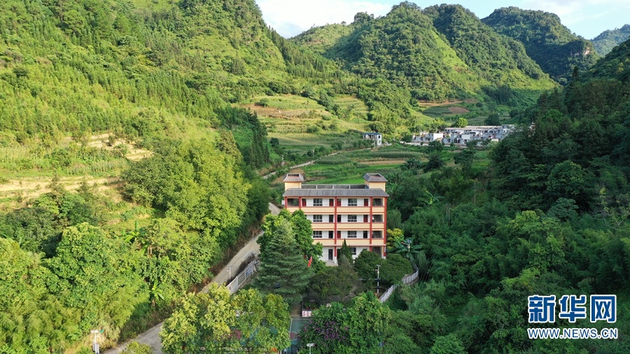 松是哪个地方的 e8b2-iytwscc3727231.jpg