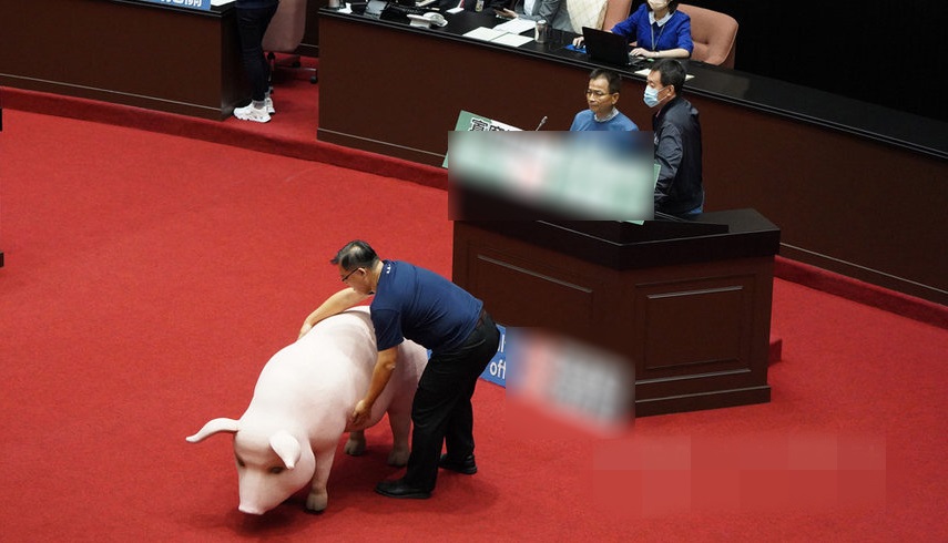13日,“蓝委”将模子猪带入“立法院” 台媒图