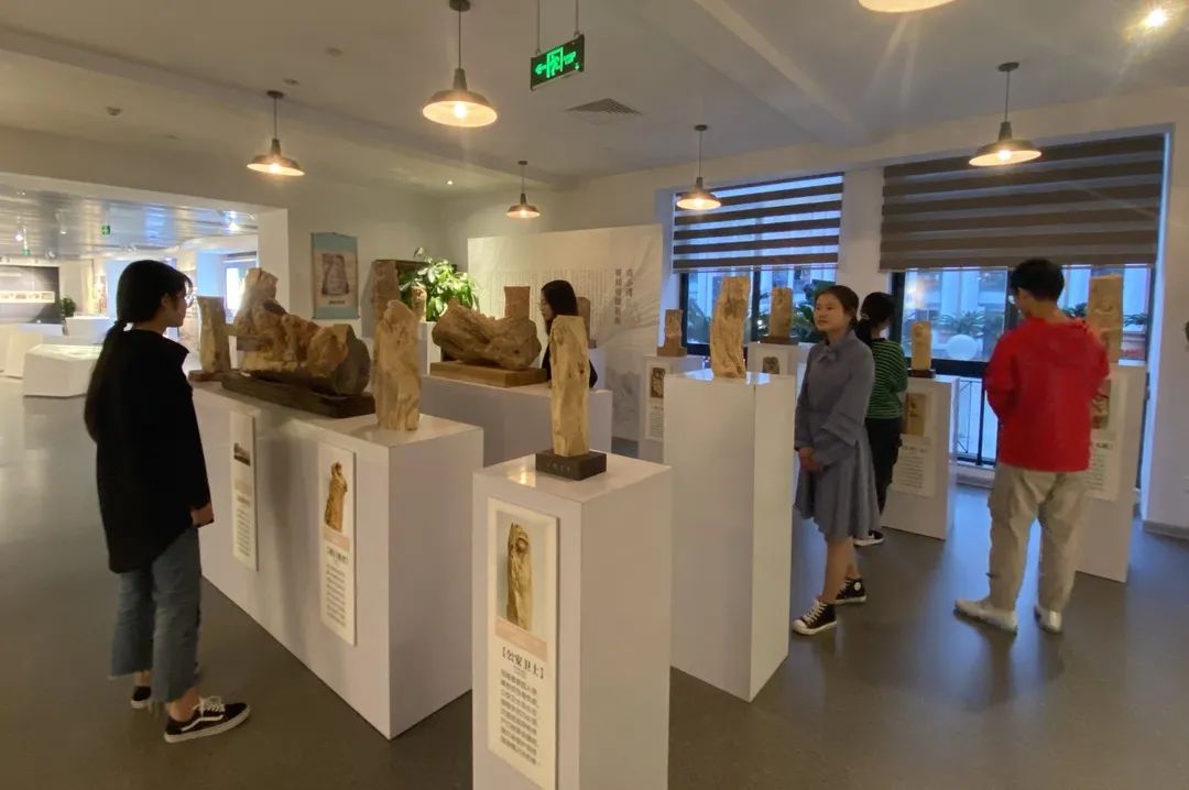 温医大举办抗疫主题系列展览