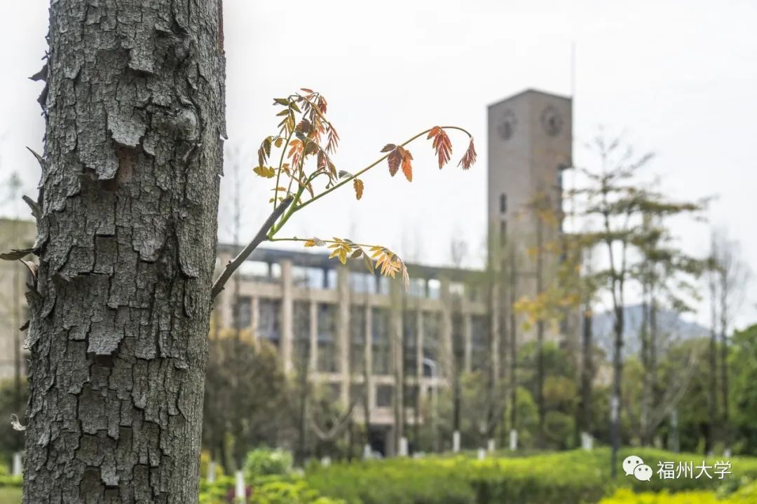 (李江川 摄)