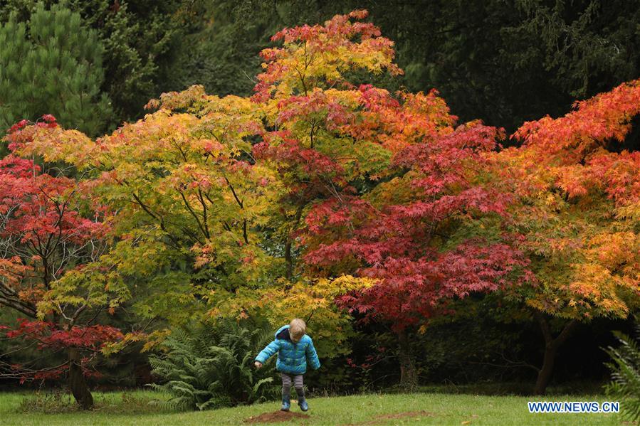 BRITAIN-GLOUCESTERSHIRE-AUTUMN SCENERY