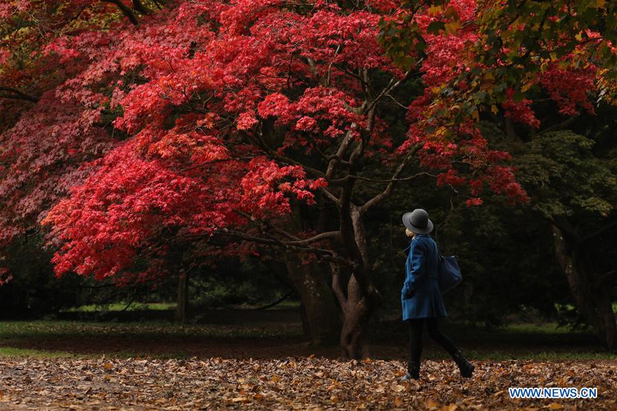 BRITAIN-GLOUCESTERSHIRE-AUTUMN SCENERY