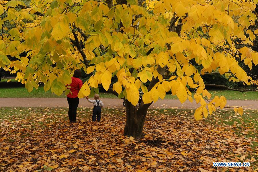 BRITAIN-GLOUCESTERSHIRE-AUTUMN SCENERY