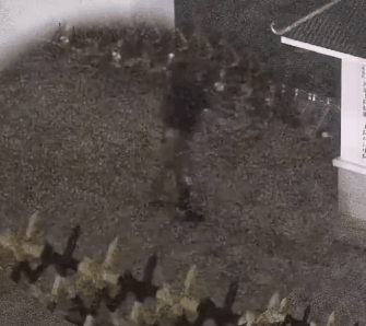 快到模糊！这一记“秒杀”，帅爆了！