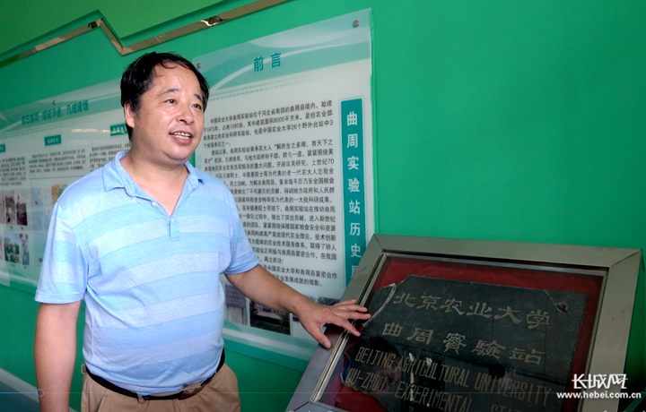 中国农业大学曲周实验站副站长张宏彦。长城网记者 刘延丽 摄