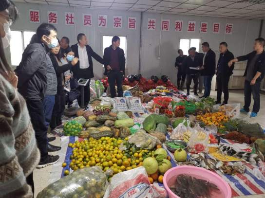 洪湖市螺山镇总人口_洪湖市螺山镇轮渡图片(2)