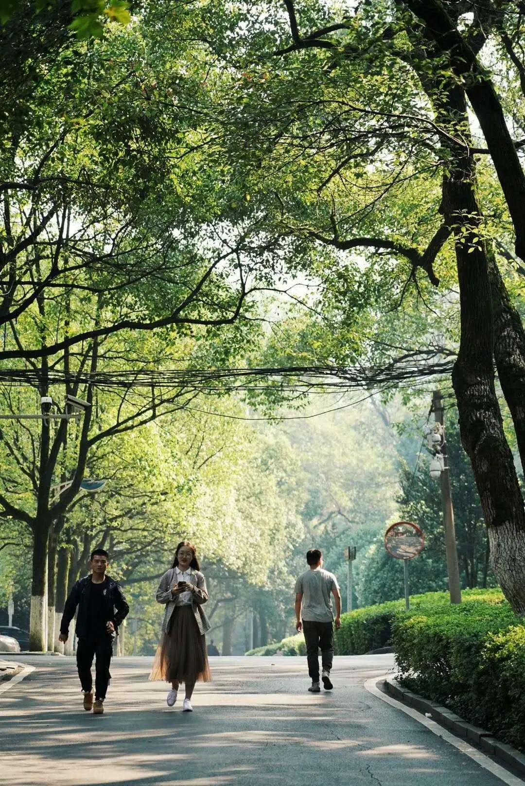 轻风光影 86c1-kavypmp6936025.jpg