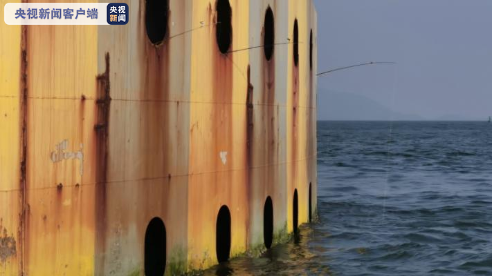 广东海事、公安联动执法 打击非法登港珠澳大桥