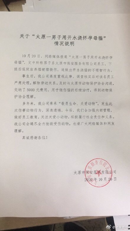 太原用开水浇伤孕猫保安被开除 动物协会:希望其