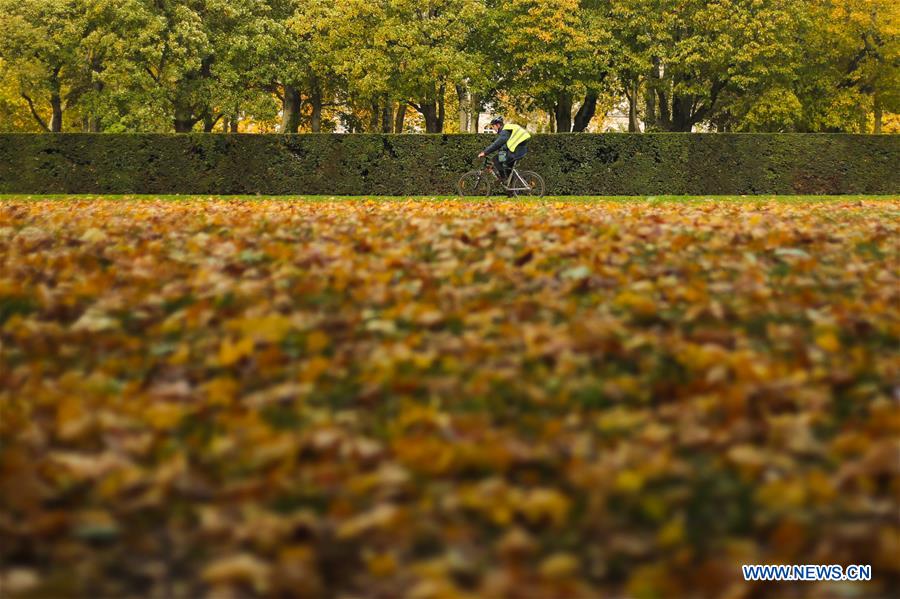 BELGIUM-BRUSSELS-AUTUMN