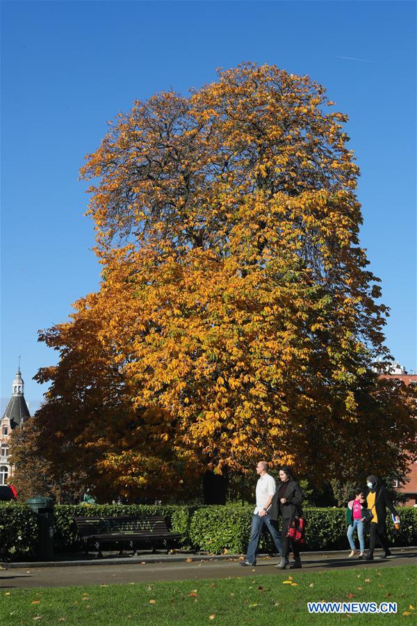 BELGIUM-BRUSSELS-AUTUMN