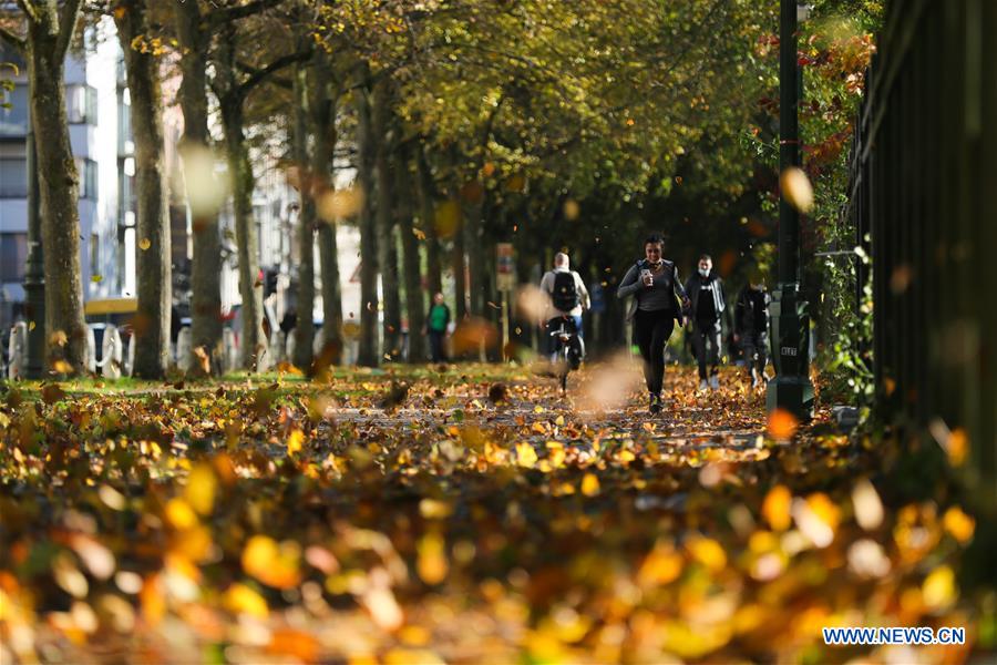 BELGIUM-BRUSSELS-AUTUMN