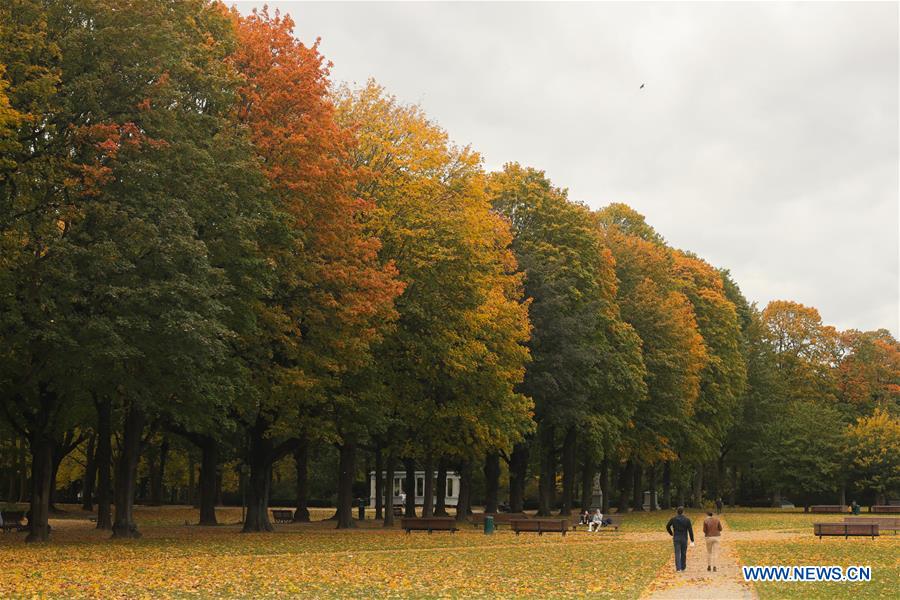 BELGIUM-BRUSSELS-AUTUMN