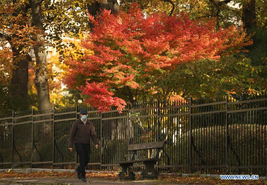 BELGIUM-BRUSSELS-AUTUMN