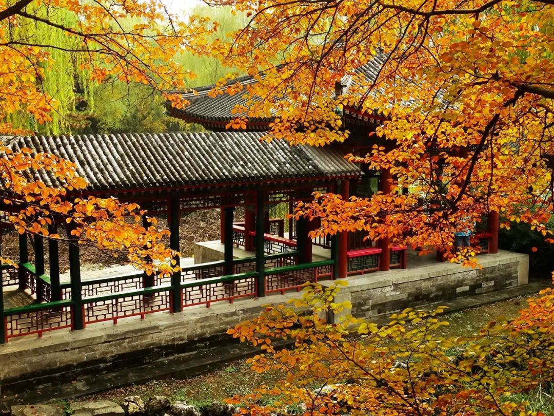 ▷颐和园秋景/ 图源自收集
