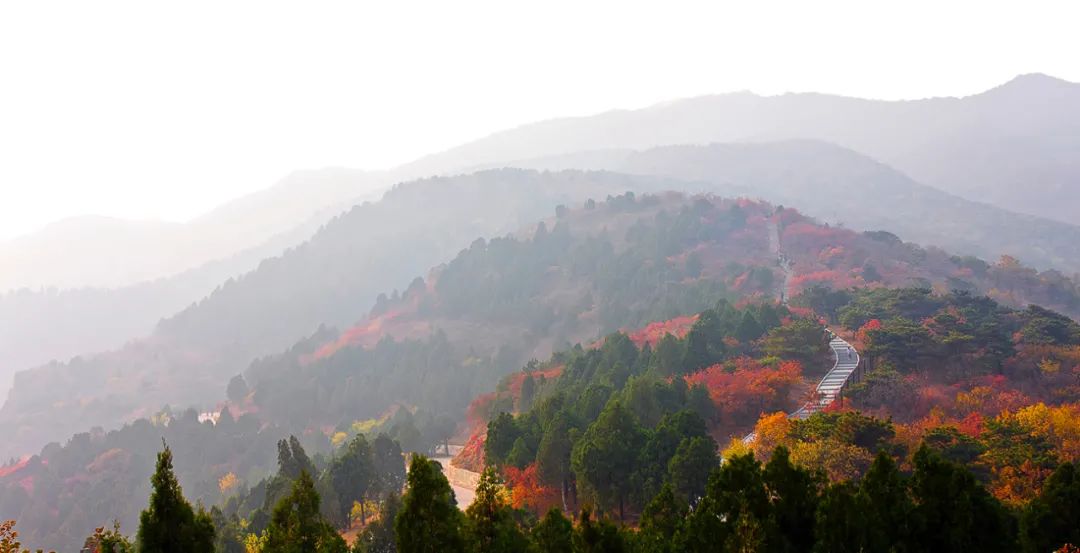 ▷西山秋景 / 图源自收集