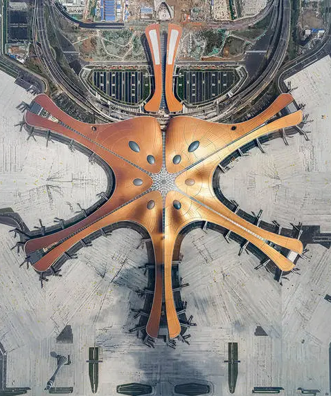 南航航班已全部搬至大兴机场 误走机场如何应对