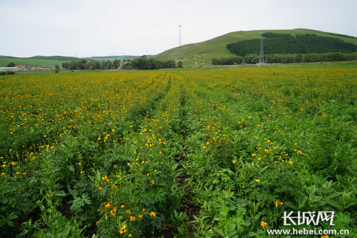 张家口沽源县GDP_滦河神韵风景区位于张家口市沽源县城东北约二十公里处,这里是沽源县最著名的景点之一 闪电河逶迤蜿蜒(3)