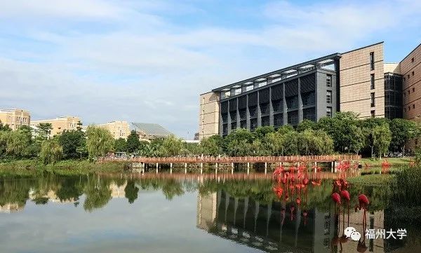 蓝苗( 东伟王张春花 摄)。