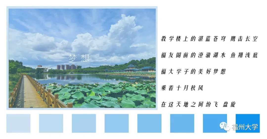 (蓝苗 摄)