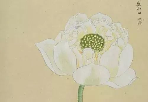 什么什么高亢的成语_成语故事图片(3)