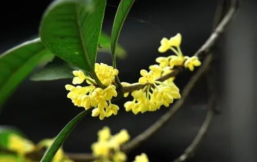 看动查滑片多图更。