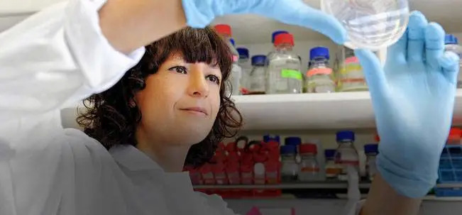 图片来自：Jean Pierre Lavergne