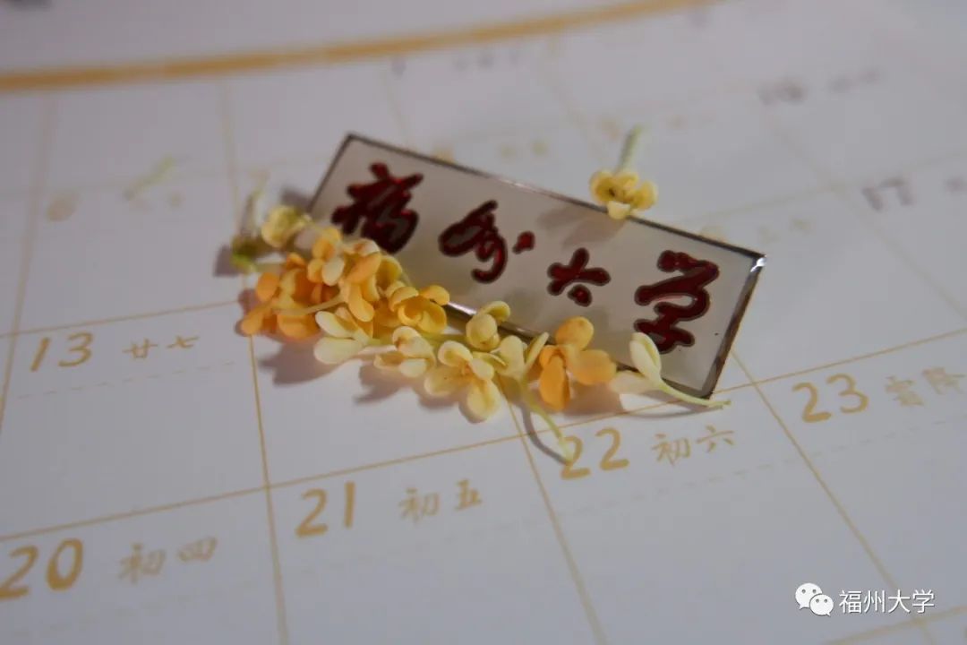 (高张悦 摄)