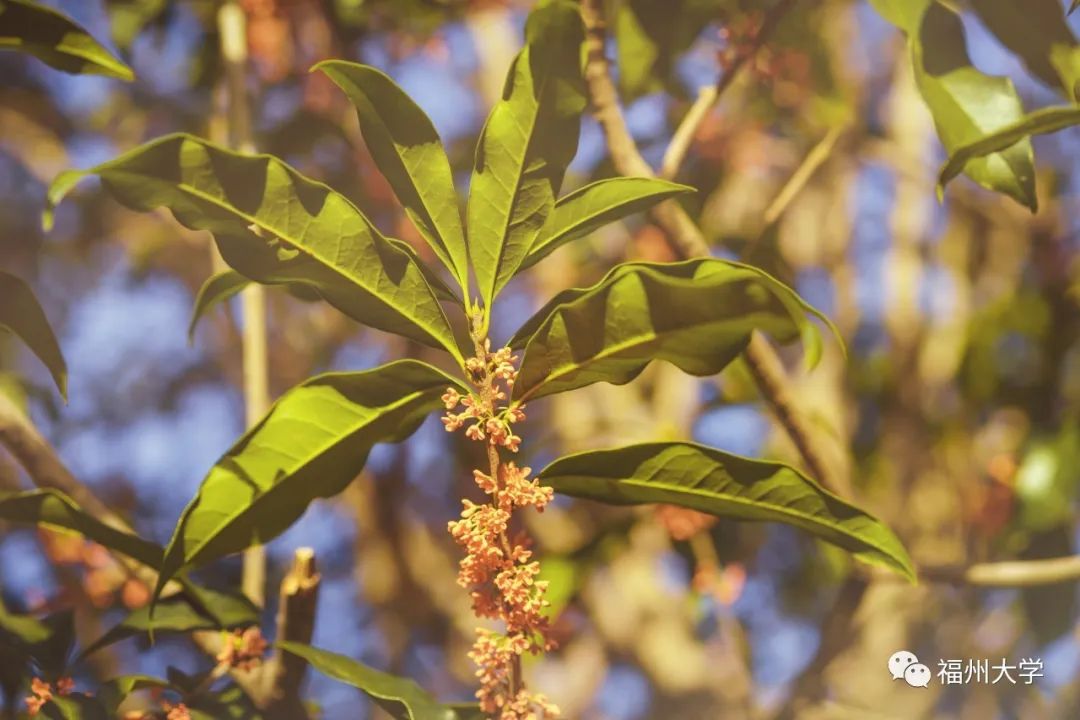 东涂江( 摄)。