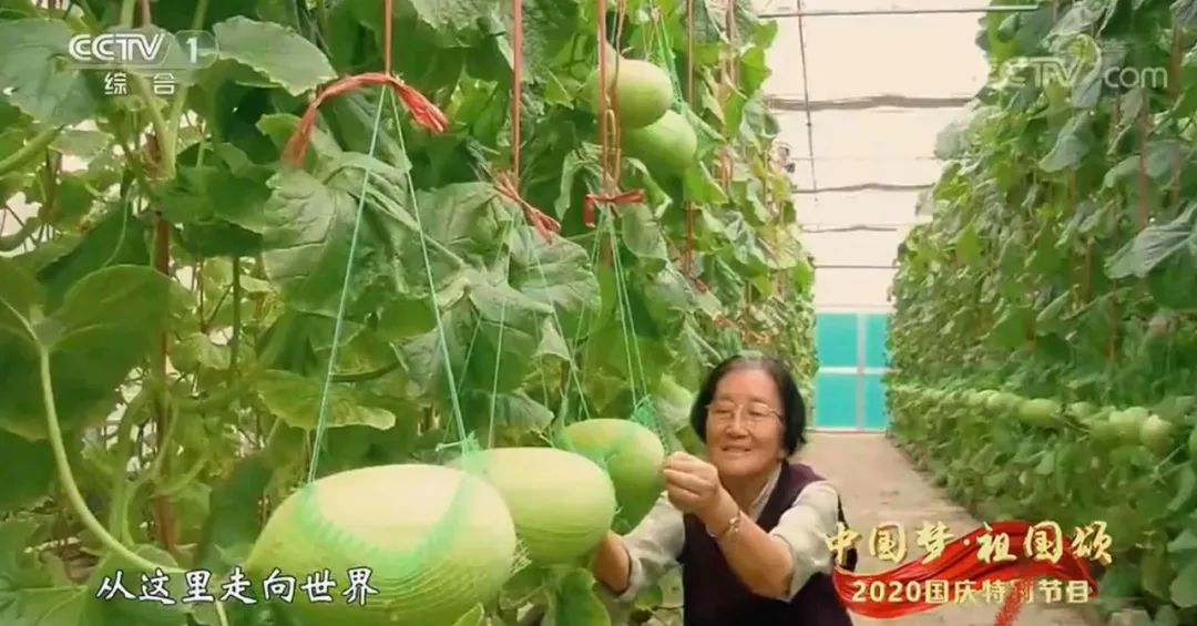 ▲吴明珠院士