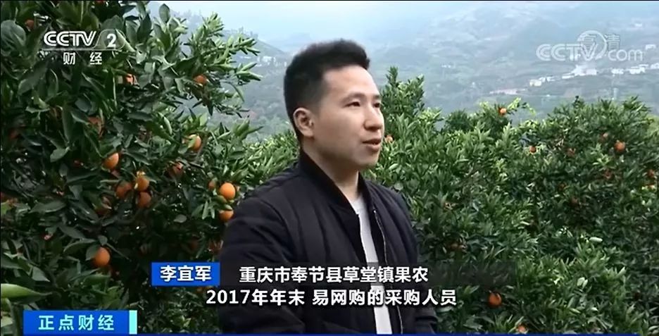 几块钱的酱油卖700元?这个平台老板卷200亿跑了