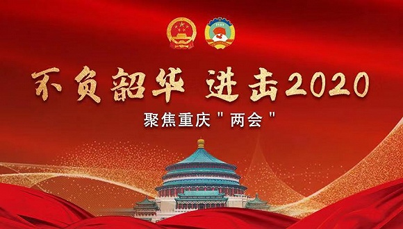 潼南gdp_“双城记”成效初显2020年潼南GDP增速跑出优秀水平